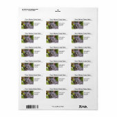 シルバータブビーキャットヘッド住所 シール (フルシート)