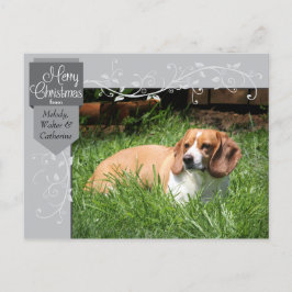 シルバータブ&フローリッシュ クリスマス写真ポストカード シーズンポストカード