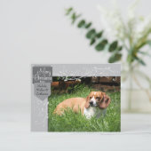 シルバータブ＆フローリッシュ クリスマス写真ポストカード シーズンポストカード (スタンド正面)