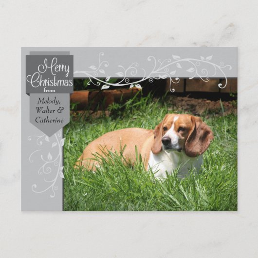 シルバータブ＆フローリッシュ クリスマス写真ポストカード シーズンポストカード (正面)