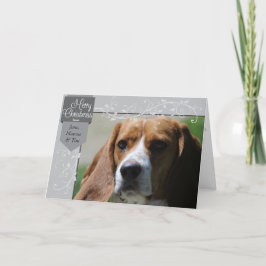 シルバータブ&華やかなクリスマスフォト シーズンカード