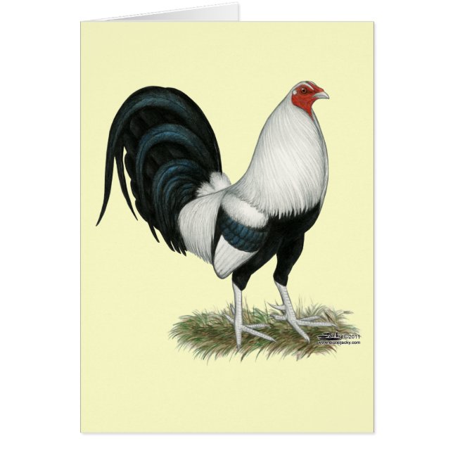 シルバーダックウィングガメコック (正面)