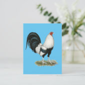 シルバーダックウィングガメコック ポストカード (スタンド正面)