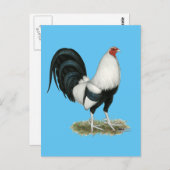 シルバーダックウィングガメコック ポストカード (正面/裏面)