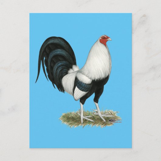 シルバーダックウィングガメコック ポストカード (正面)