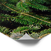 シルバーチップモアツリーイザヤ41:10プリント ポスター (角)