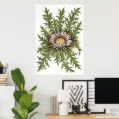 シルバーティスル – Sue Abonyi ポスター (ホームオフィス)