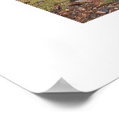 シルバートンへの蒸気列車の旅 ポスター (角)