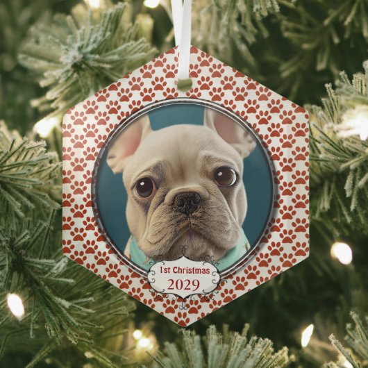 シルバードッグ私の初めてのクリスマス写真オーナメント ガラスオーナメント (インサイチュ)