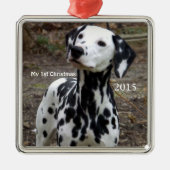 シルバードッグ私の初めてのクリスマス写真オーナメント メタルオーナメント (正面)