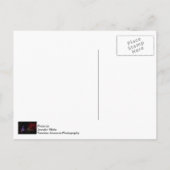 シルバードルシティでのクリスマス シーズンポストカード (裏面)