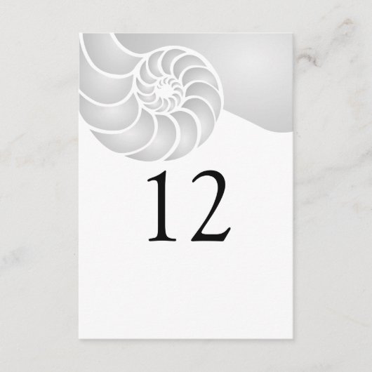 シルバーナウティラスシェルビーチ結婚式 (正面)