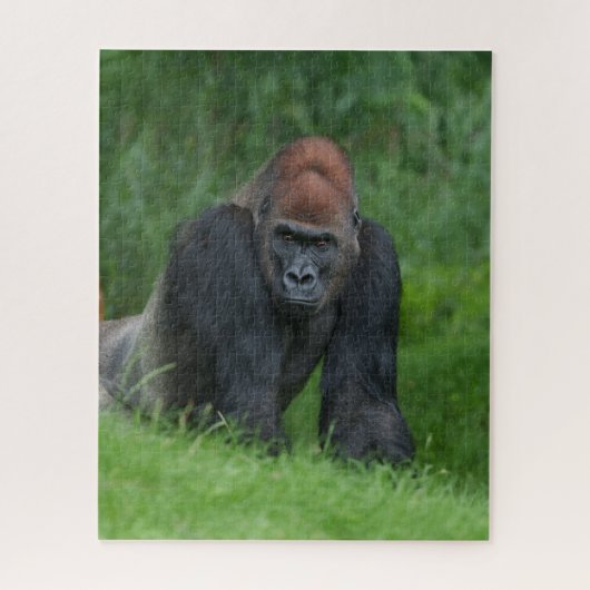 シルバーバックの穏やかな領域 ジグソーパズル (縦)