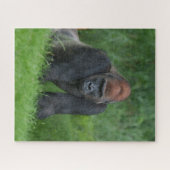 シルバーバックの穏やかな領域 ジグソーパズル (横)