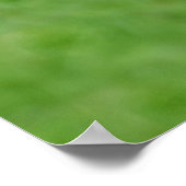 シルバーバックの穏やかな領域 ポスター (角)