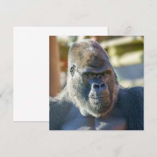 シルバーバックを打つ (正面/裏面)