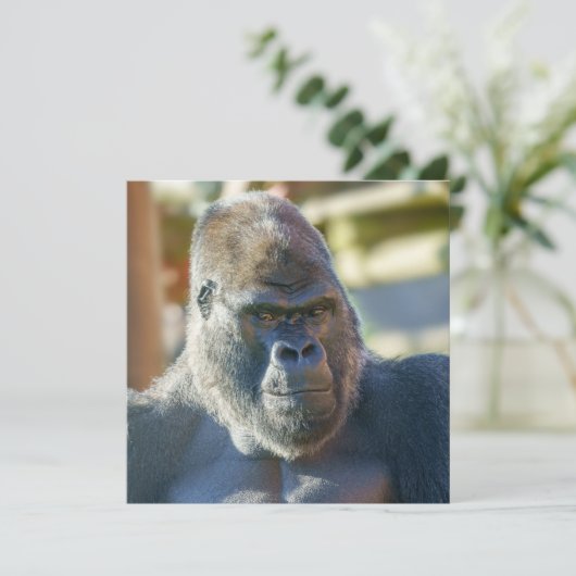 シルバーバックを打つ (スタンド正面)