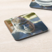 シルバーバックを打つ コースター (左側)