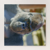 シルバーバックを打つ ジグソーパズル (横)