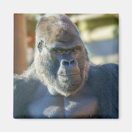 シルバーバックを打つ マグネット