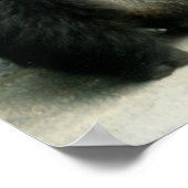 シルバーバックゴリラプリント ポスター (角)