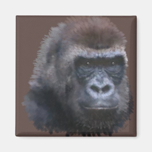 シルバーバックゴリラ マグネット (正面)