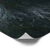 シルバーバックスプレンダー ポスター (角)