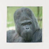 シルバーバックディスヒ タペストリー (正面)