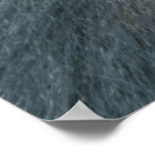 シルバーバックディスヒ ポスター (角)