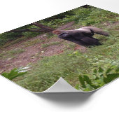 シルバーバック ポスター (角)