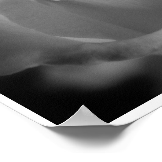 シルバーバラ ポスター (角)