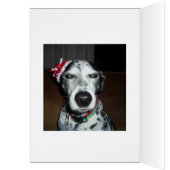 シルバーバルブ反射 (内側 (左))