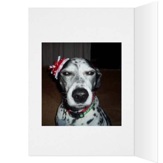 シルバーバルブ反射 (内側 (左))