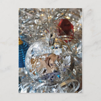 シルバーバルブ反射 ポストカード