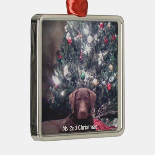 シルバーパピー私の2ndクリスマスフォトオーナメント メタルオーナメント (右)