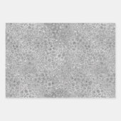 シルバーヒョウ灰色ニャーニャーキティキャット ラッピングペーパーシート (正面)