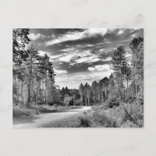 シルバーフォレスト ポストカード (正面)