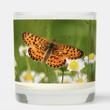 シルバーフ縁どリティラリー