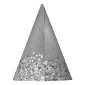 シルバーブラッシュメタルグリッターモノグラム名 パーティーハット (裏面)