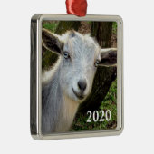 シルバーブルーアイドナイジェリア矮性乳製品ヤギの子 メタルオーナメント (右)