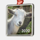 シルバーブルーアイドナイジェリア矮性乳製品ヤギの子 メタルオーナメント (左)