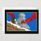 シルバープードルクリスマスカード/招待状 招待状 (正面/裏面)