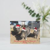 シルバーベルズクリスマスカード! シーズンポストカード (スタンド正面)