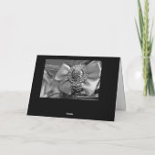 シルバーボウとクリスタル カード (裏面)