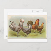 シルバーポリッシュ ポストカード (正面/裏面)