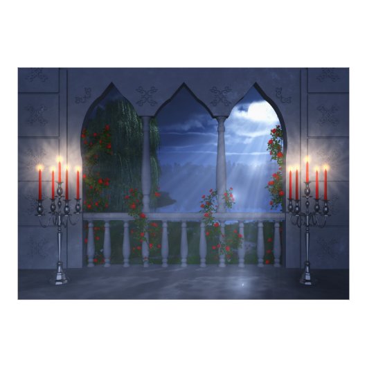 シルバーマントルフォトプリント フォトプリント            (正面)