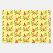 シルバーメープルオンラッピング紙セット ラッピングペーパーシート (正面3)