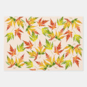 シルバーメープルオンラッピング紙セット ラッピングペーパーシート (正面)