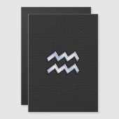 シルバーモダンアクエリアス〔占星術の〕十二宮図のスネークの看板 (正面/裏面)