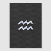 シルバーモダンアクエリアス〔占星術の〕十二宮図のスネークの看板 (正面)